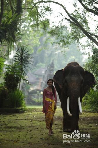 十一月去哪里旅游好？请考虑到巴厘岛