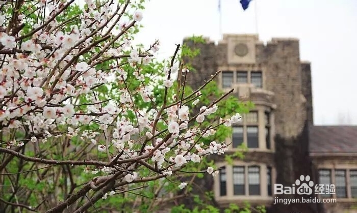 韩国十大美丽大学