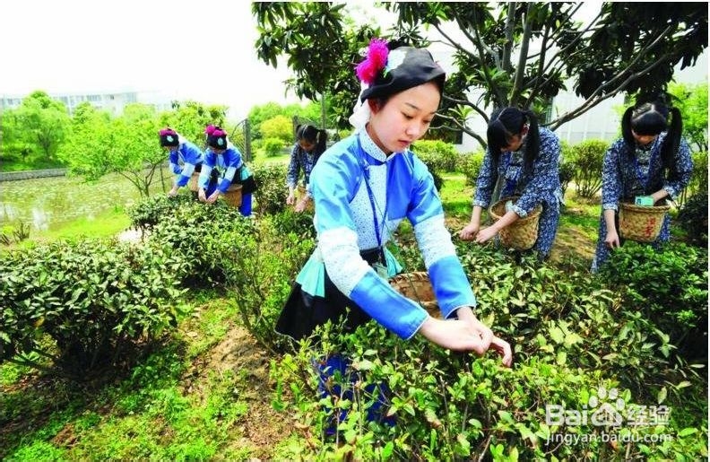 湖南张家界（图文介绍）