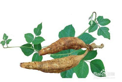 如何选择护肝的食材