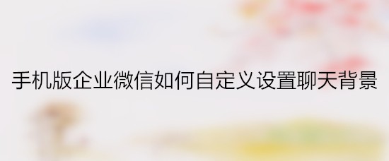手机版企业微信如何自定义设置聊天背景