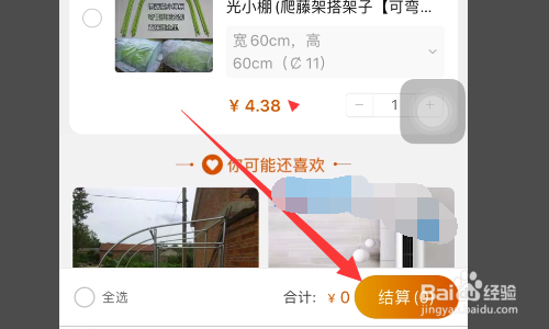 室外铜钱草怎么过冬