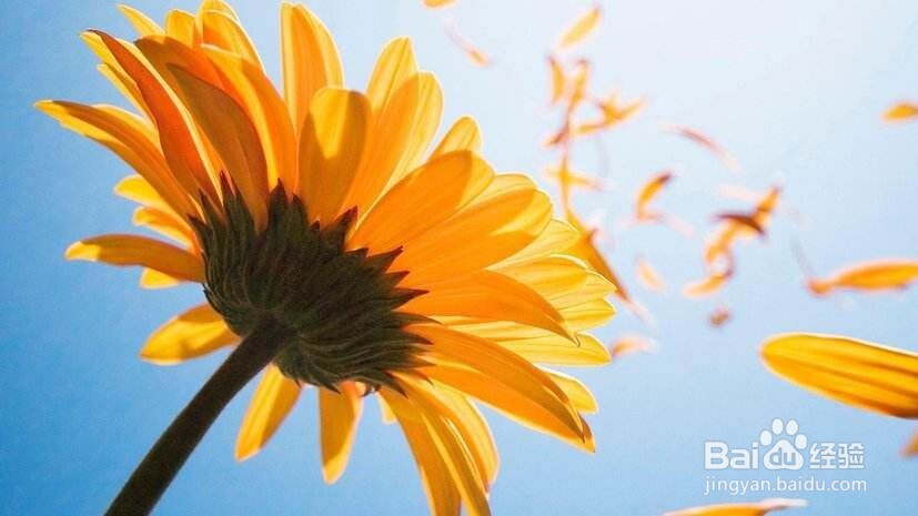 word中如何查看字数