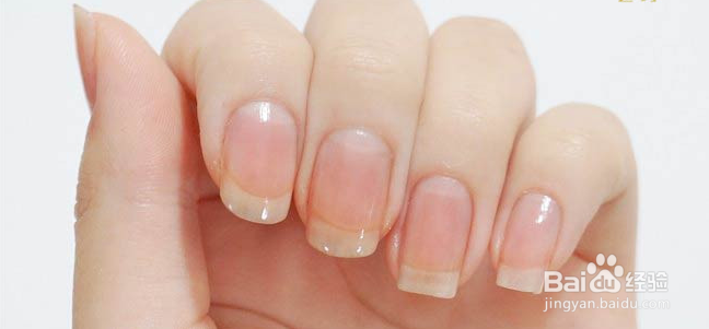 蒲公英美甲画法教程