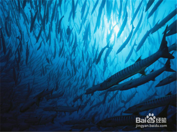 哪些朋友值得交往？