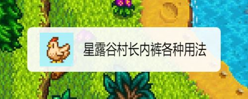 星露谷村长内裤各种用法