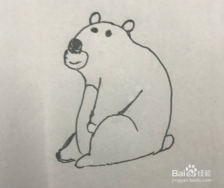 如何画大笨熊的简笔画