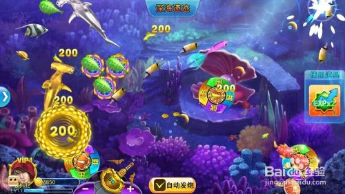 一般人我不告诉他 高级的捕鱼游戏技巧揭秘