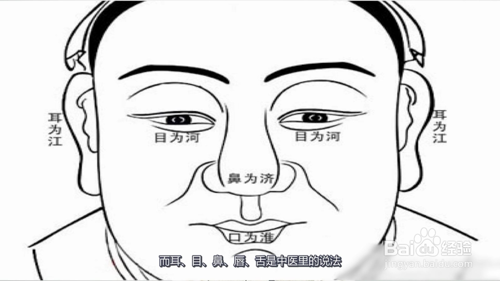 五官指哪五个部位