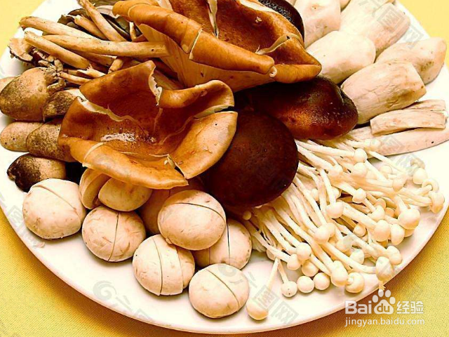 哪些菌类适合冬天种植？