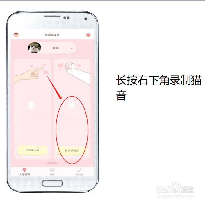 和猫咪说话的软件叫什么?