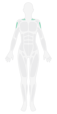 弹力带提拉_弹力带塑形男生版