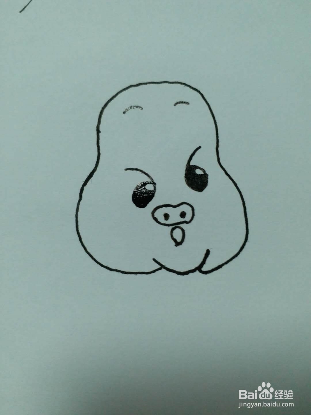 小猪的简笔画法