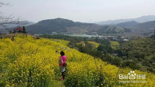 城山沟景区一日游攻略