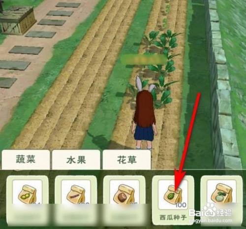 小森生活游戏种西瓜应该怎么种植