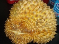 三个挑榴莲的小妙招