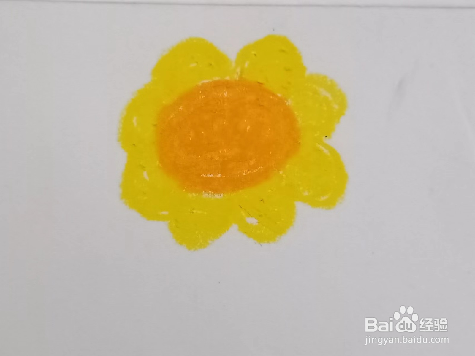 用油画棒画向日葵