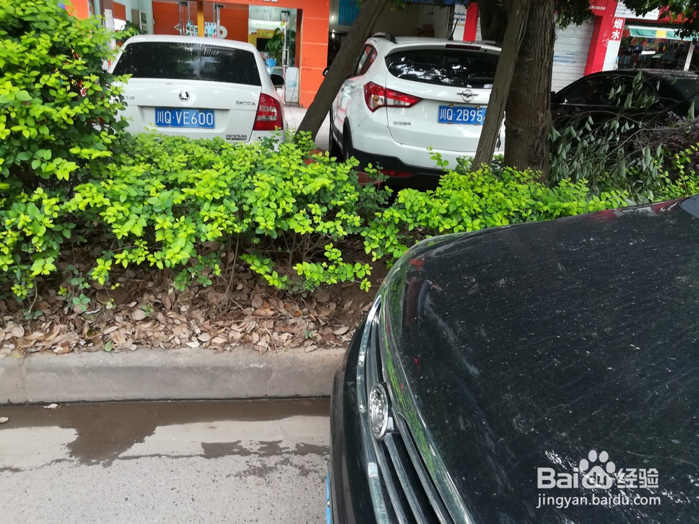 上路开车技巧解析回忆录