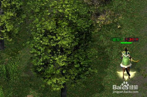 剑一怎么做严惩伐木贼任务