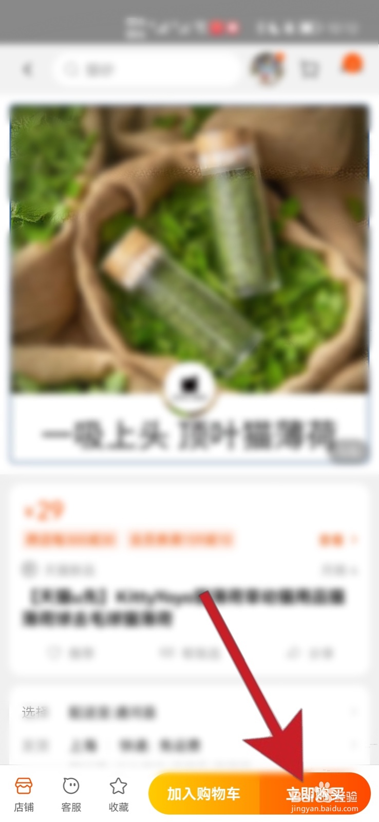 如何在U先试用中买东西