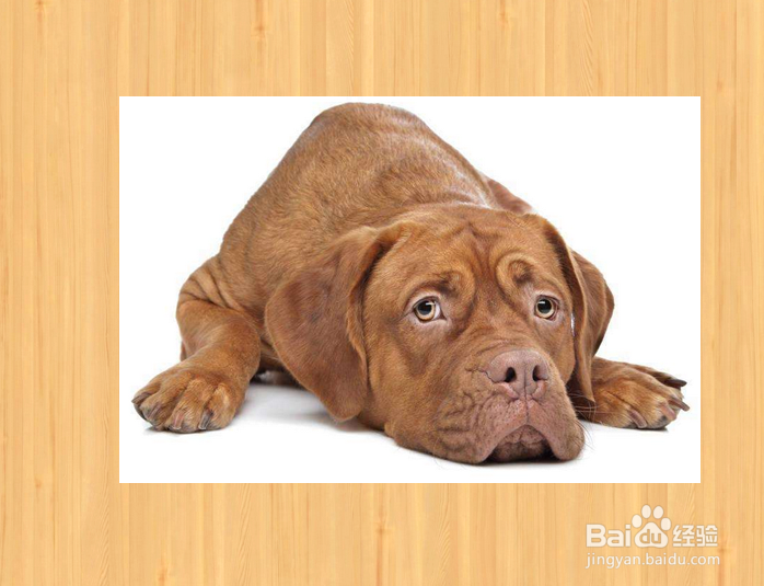 如何用PS制作出木刻效果的图片？