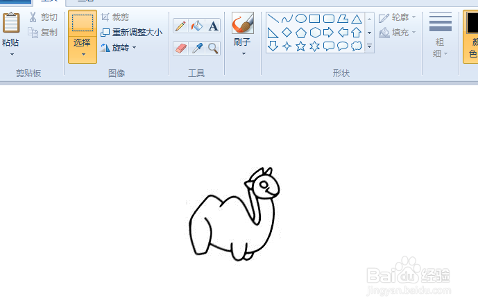 用电脑绘制骆驼简笔画