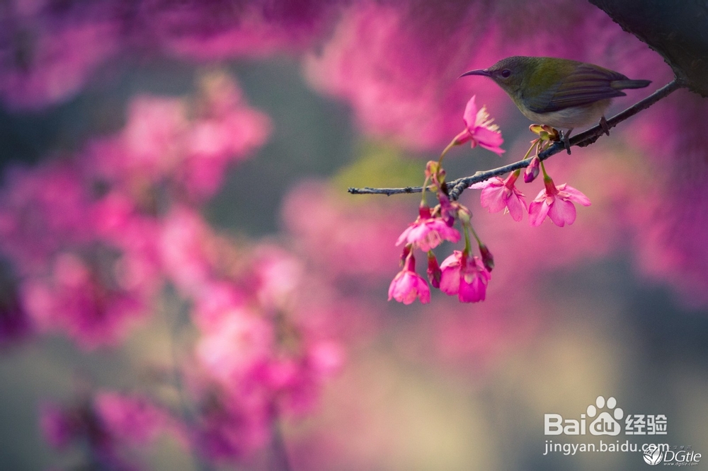 节日里如何吃吃喝喝还不胖