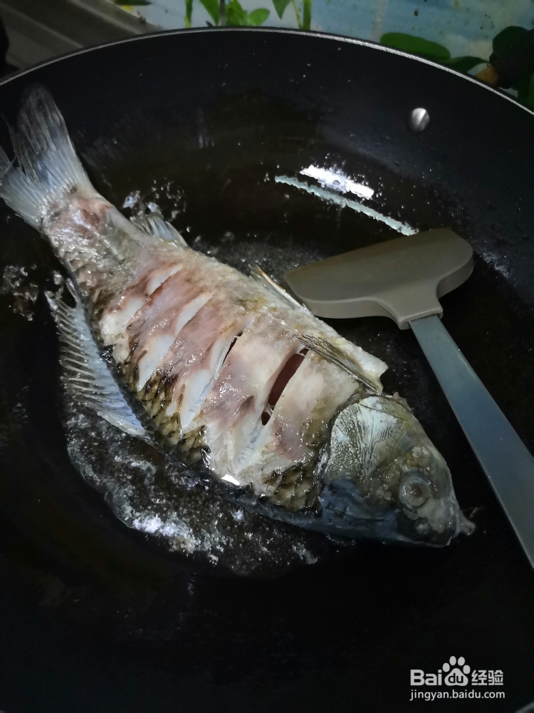 怎么做红烧鲫鱼?