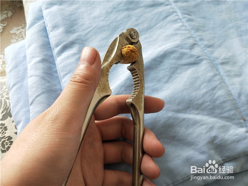 核桃钳子如何轻松快速的打开核桃