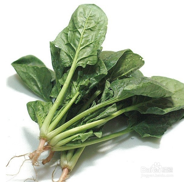 菠菜的营养分析