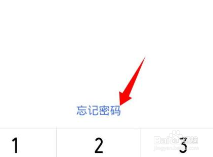 vivo隐私与应用加密忘记