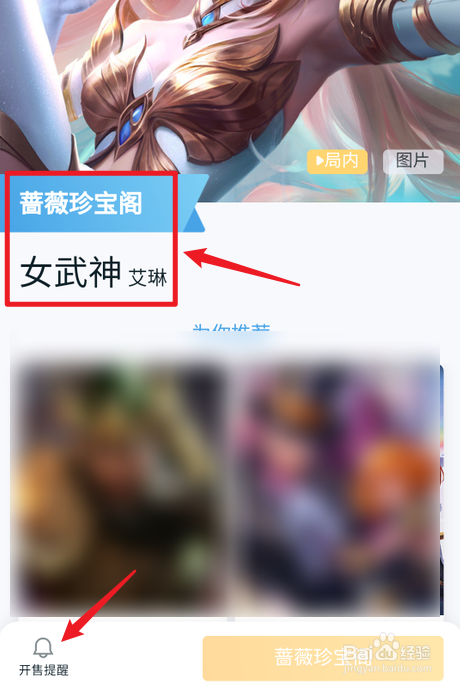 王者荣耀艾琳女武神皮肤在哪里可以购买到？