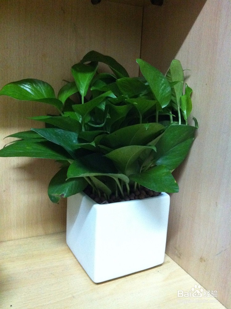 新房入住之前需要准备什么