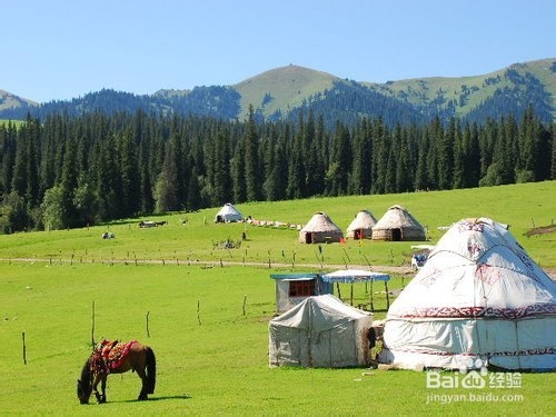 国内自驾游环游南疆感受辽阔草原