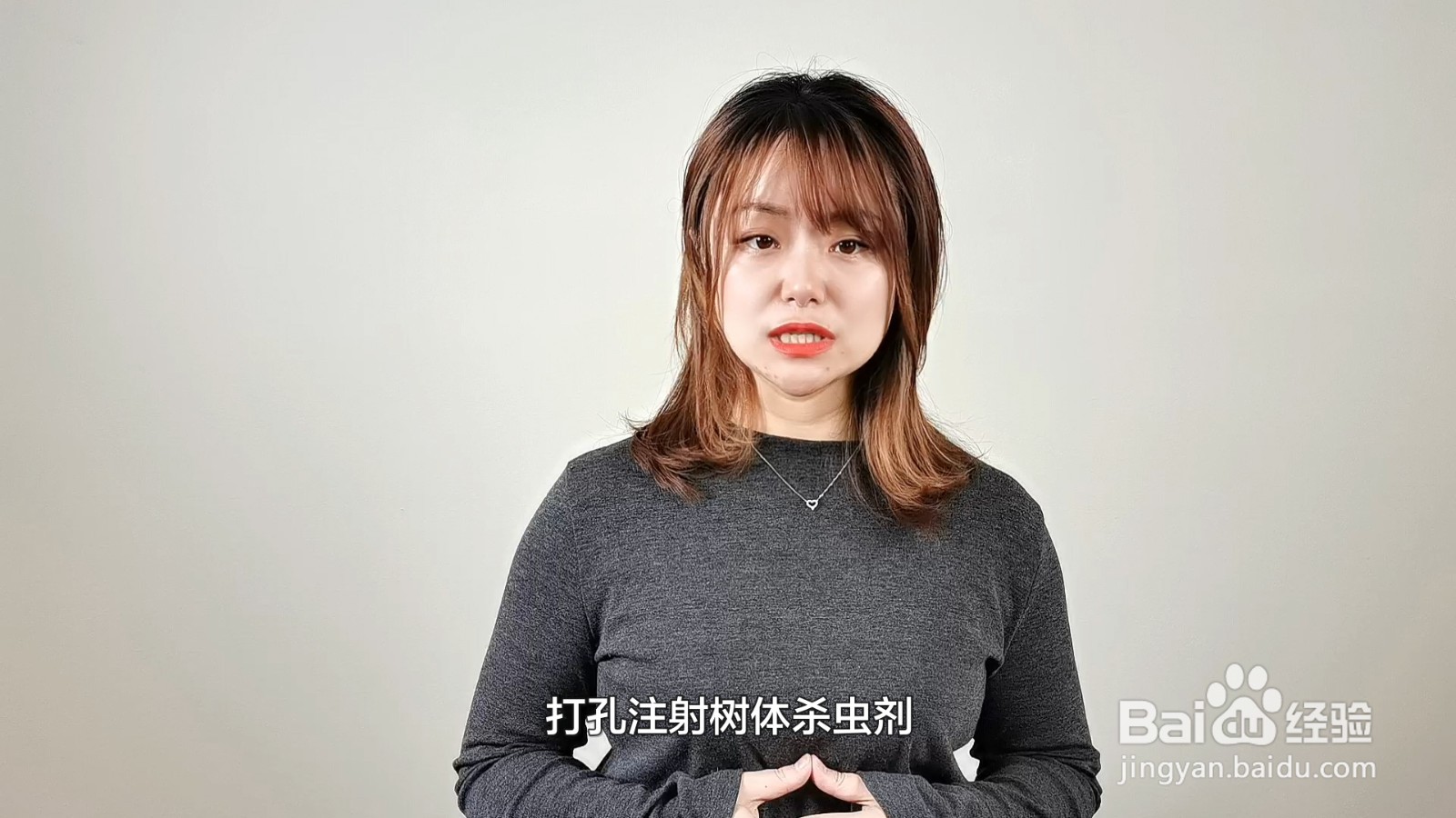 土壤里的蚧壳虫怎样彻底消灭