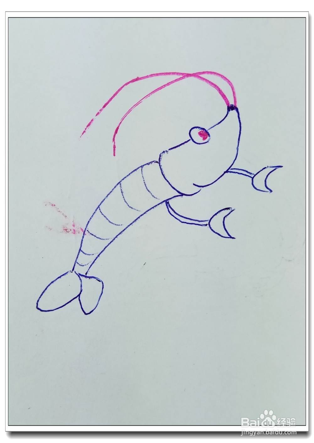 怎样画简笔画“漂亮的大虾”？