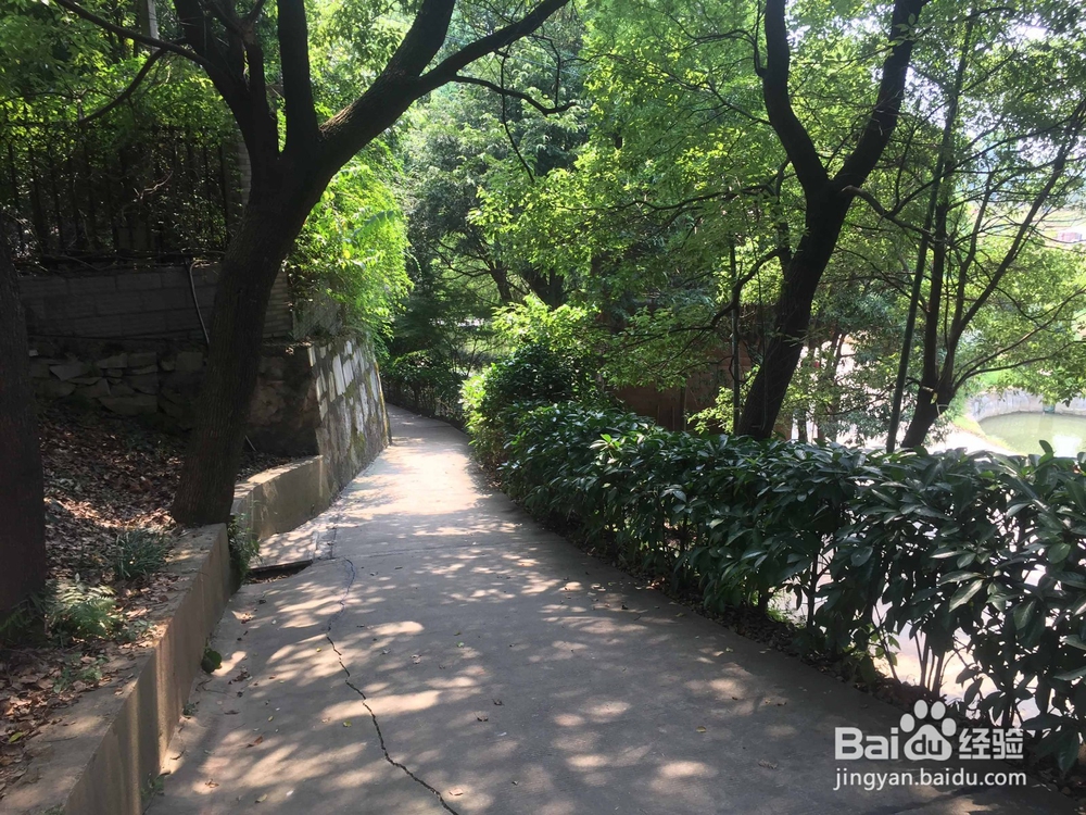 长沙市近郊农家乐