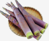 冬笋和春笋的区别