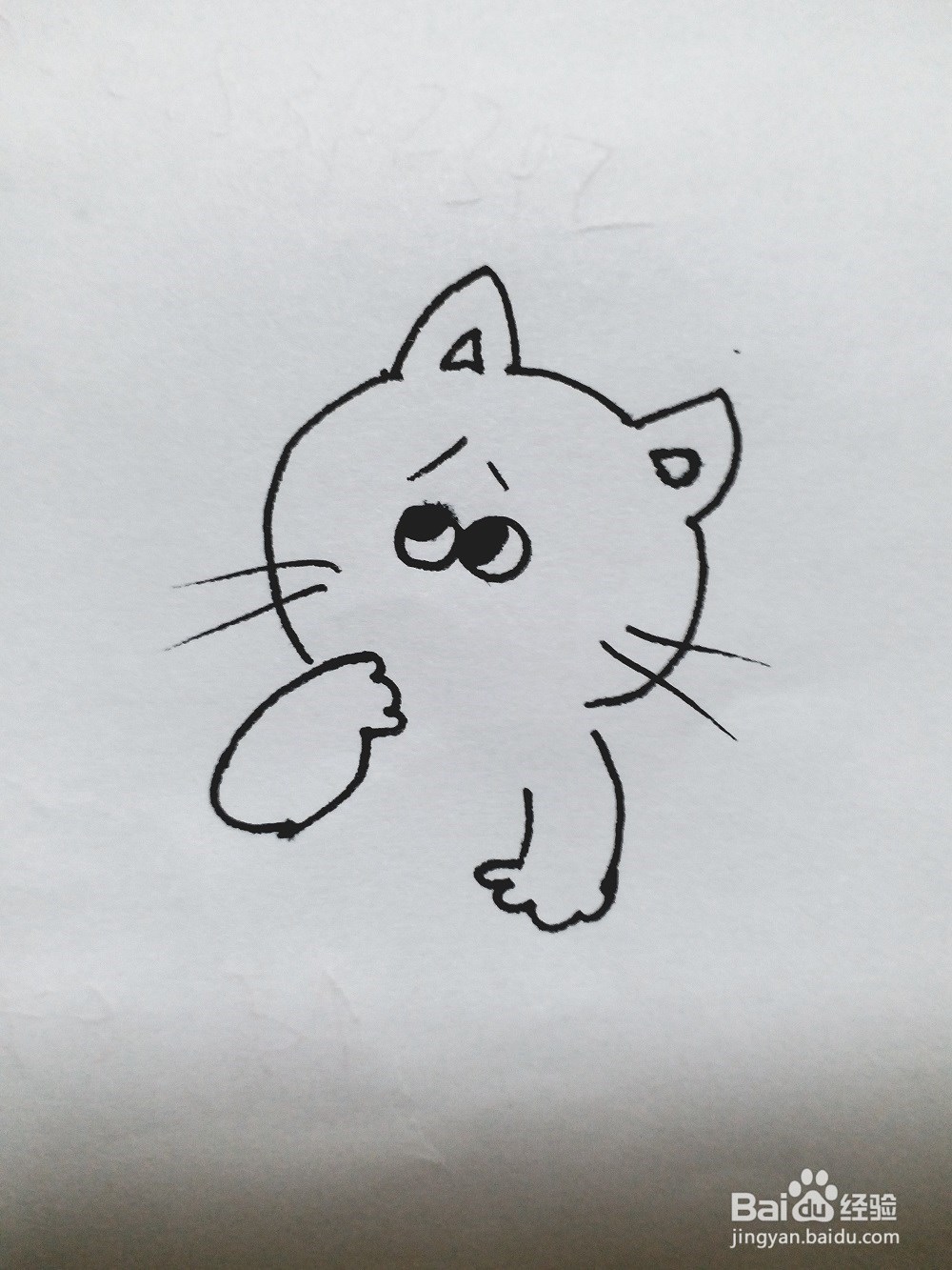 猫的简笔画法《一》