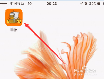 斗鱼粉丝勋章怎么开通
