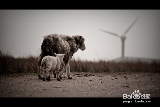 浅谈如何拍出具有电影感的照片