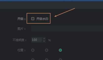 轻映录屏开启水印