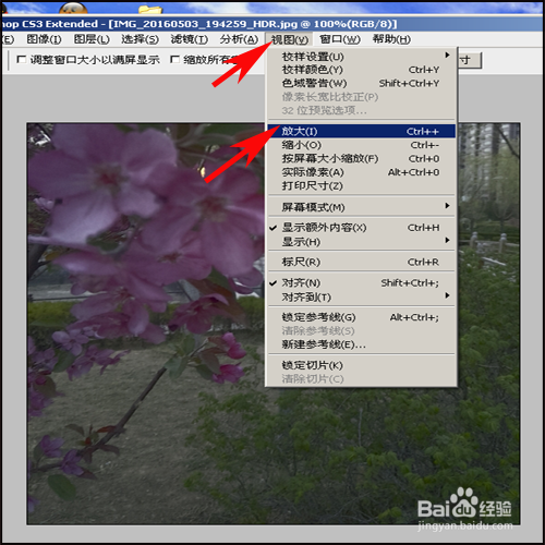 PS怎样改变图像显示大小的3种方法