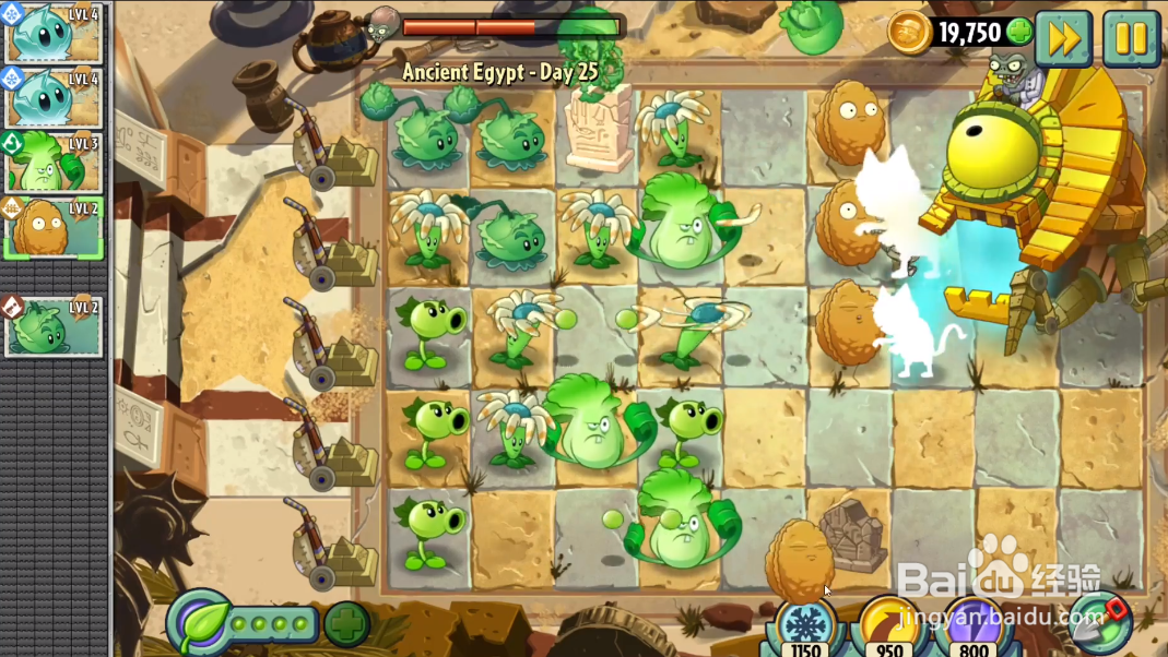 植物大战僵尸2第一章最后一关怎么打