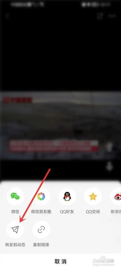 网易新闻怎么转发视频