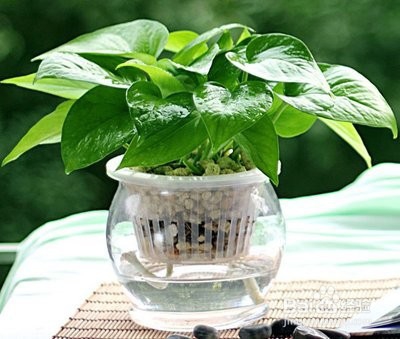 如何判断一种物质是具有生命特征是生命物质。