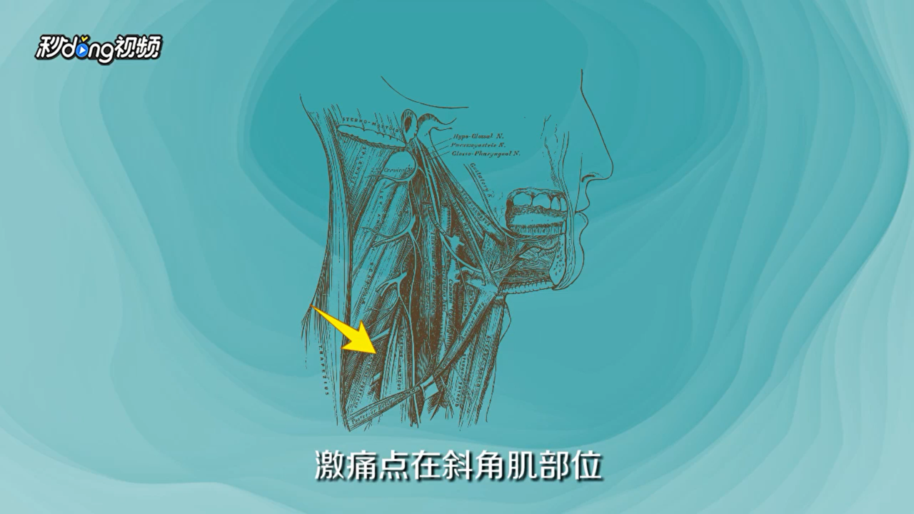 胳膊发麻怎么回事