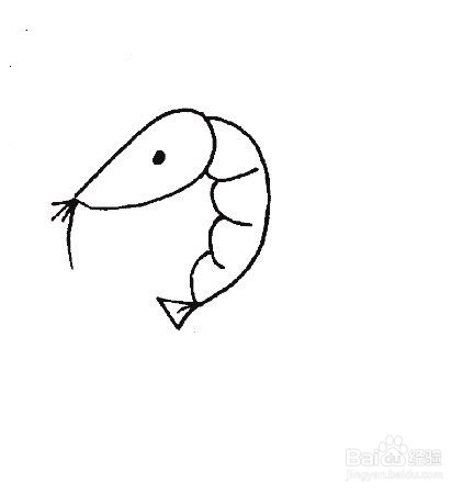 小虾的简笔画简单图片