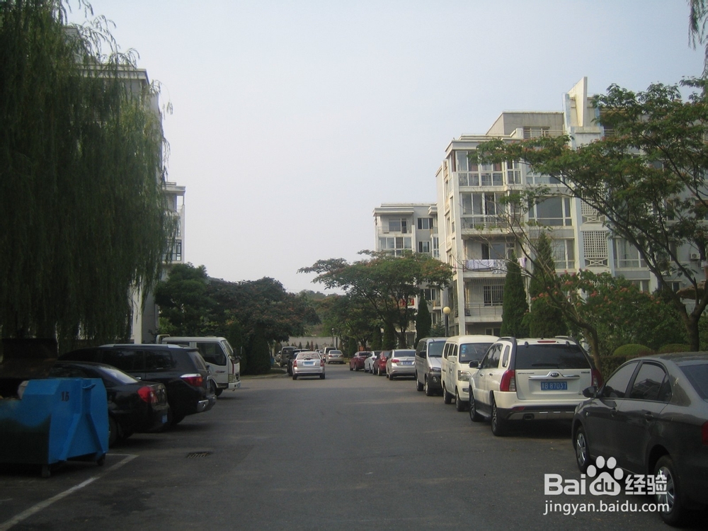 怎样告诉孩子安全过马路--114