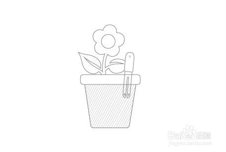 花花草草怎么播种长大